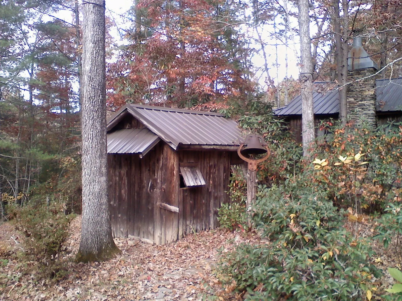 Small metal roof on a rough sawn shed in the woods in Pitman